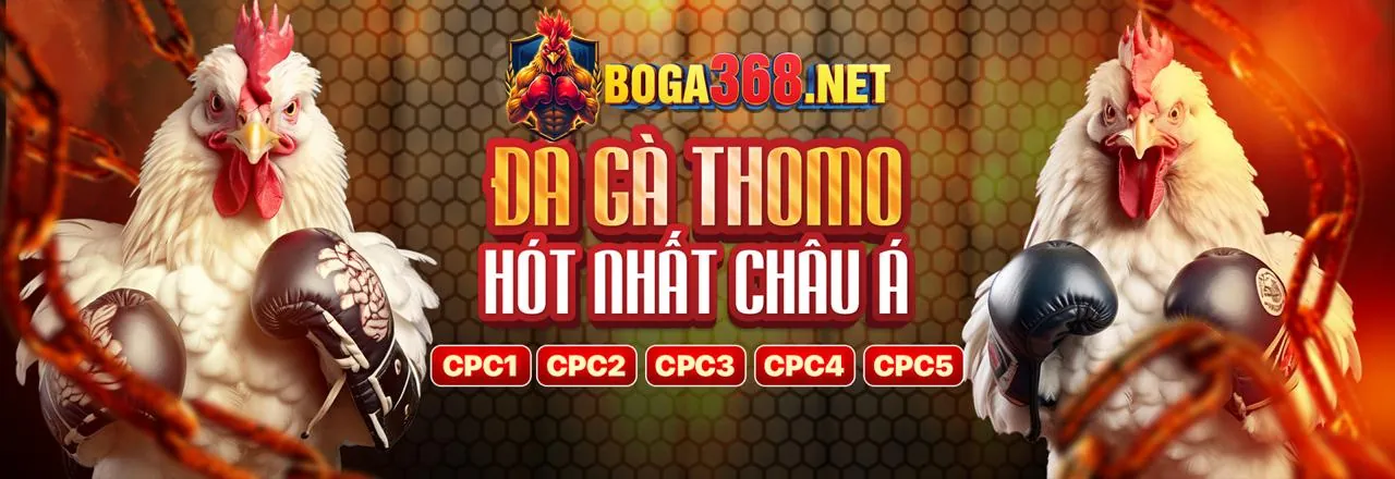 Đá Gà Trực Tuyến Hấp Dẫn tại Bet8s Trang Chủ Chính Thức